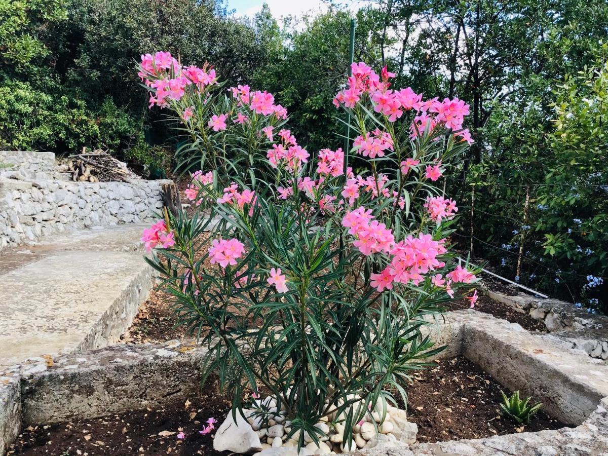 Lux Apartmán Korčula
